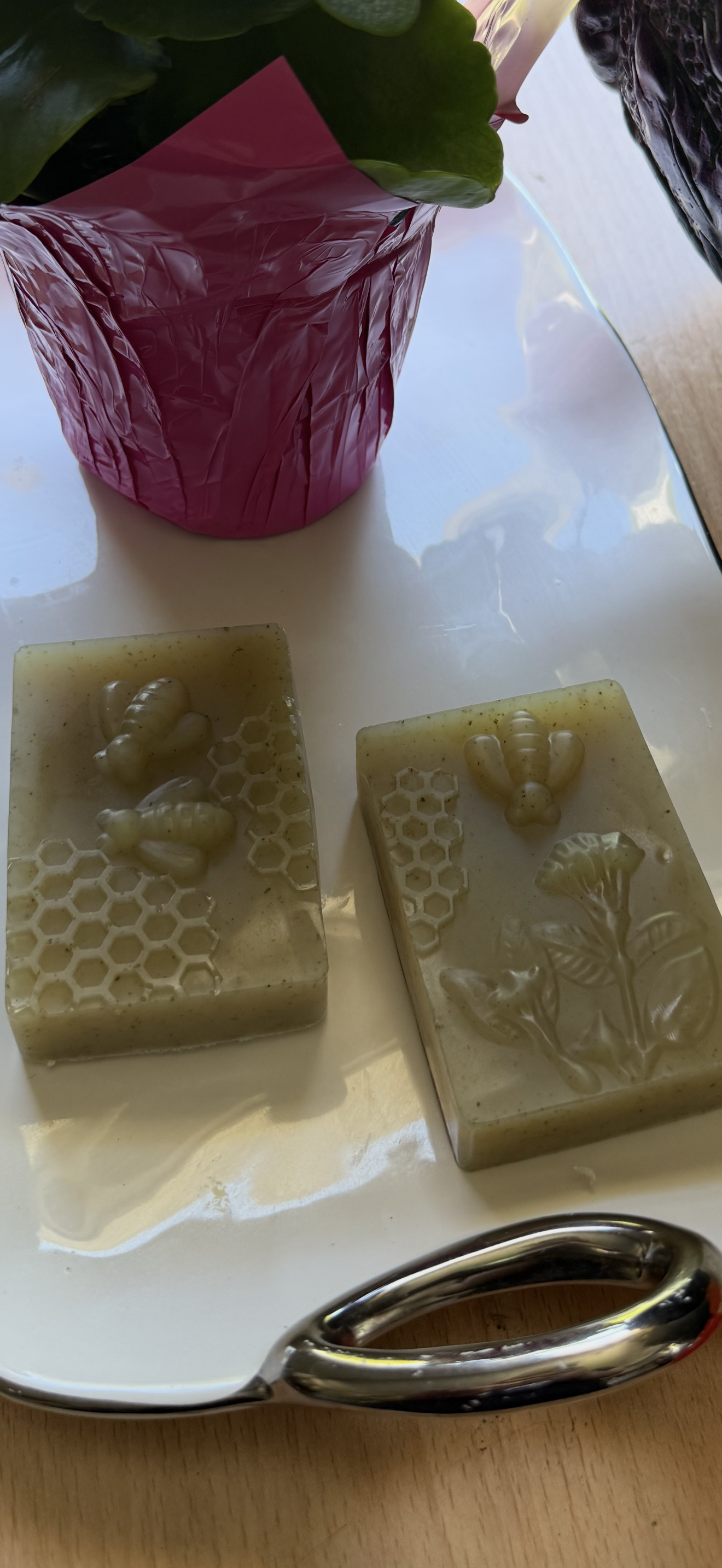 Aloe Vera soap